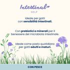 Almo Nature Intestinal Help Cat Adult con Pesce 70gr