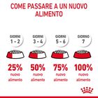 Royal Canin Cat Adult Urinary Care 2 kg