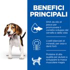 Hill's Science Plan Dog Puppy con Pollo Lattina 370 gr