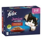 Felix Le Ghiottonerie Kitten Selezioni Deliziose Manzo e Pollo 12 x 85 gr