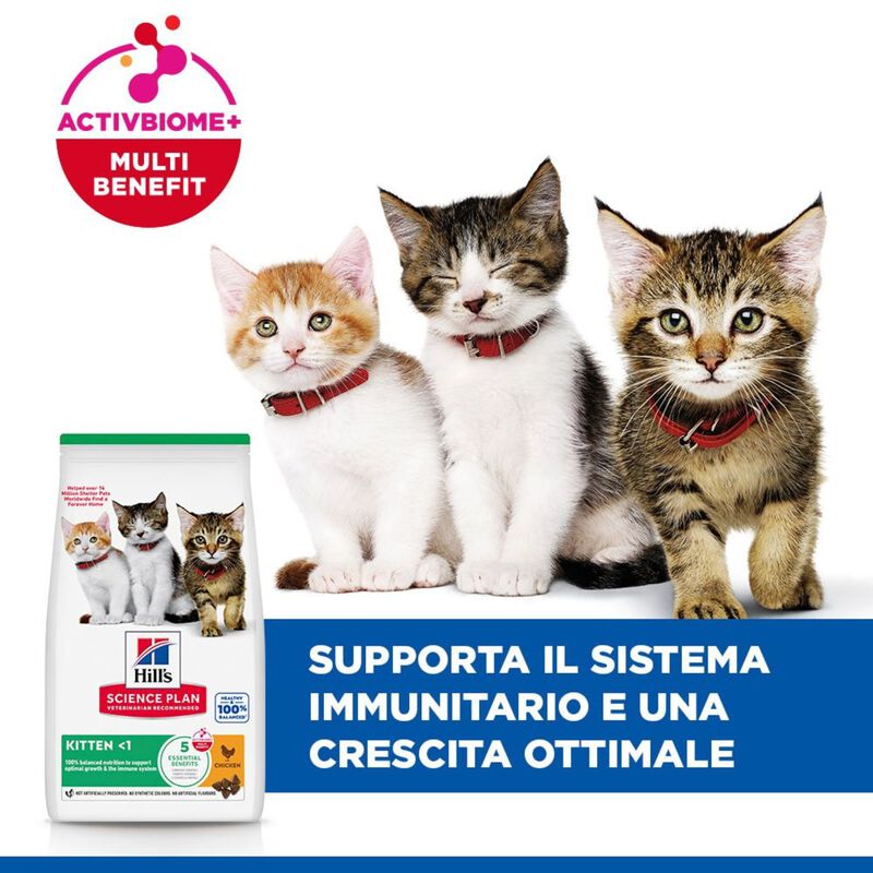 Hill's Science Plan Cat Kitten al Pollo 300 gr