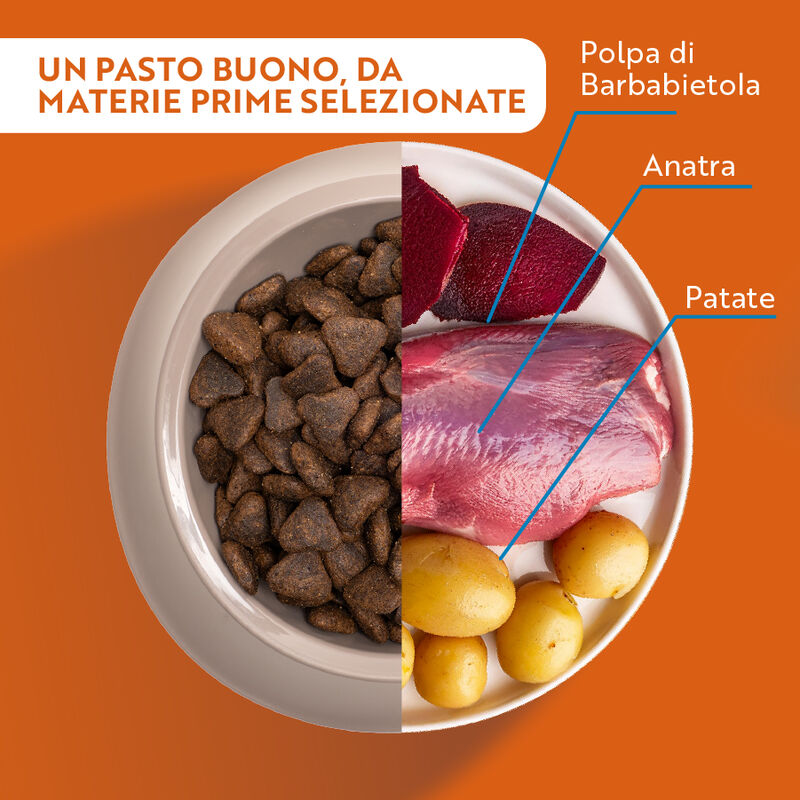 Monopro Dog Adult Medium&Large Grain Free Anatra 3 kg