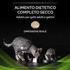 Purina Pro Plan Veterinary Diets Cat HA Hypoallergenic St/Ox 3,5 kg