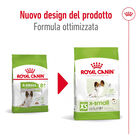 Royal Canin Dog Adult +8 anni X-Small 500 gr