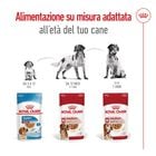 Royal Canin Dog Medium Adult 140 gr
