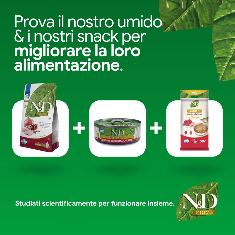 N&D Farmina Prime Kitten Pollo & Melograno 1,5 kg