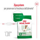 Royal Canin Dog Mini Adult e Senior +8 anni 800 gr