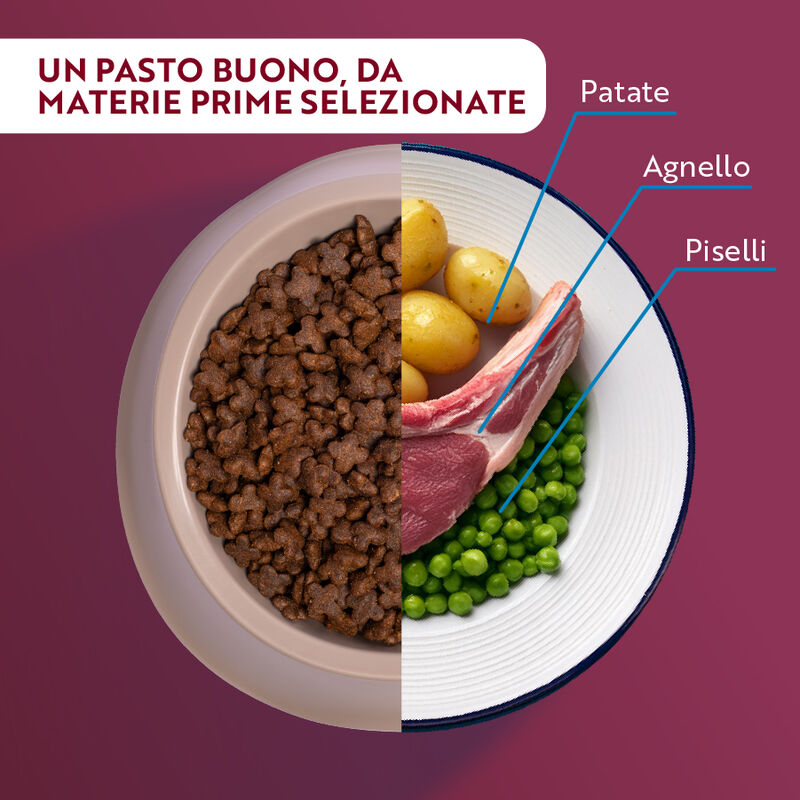 Monopro Dog Adult Mini Grain Free Agnello 800 gr