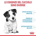Royal Canin Dog Mini Puppy 800 gr