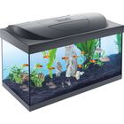 Tetra Starter Line Led 54 l