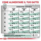 Royal Canin Veterinary Diet Cat Diabetic 400 gr