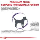 Royal Canin Expert Neutered Adult Small 1,5 kg