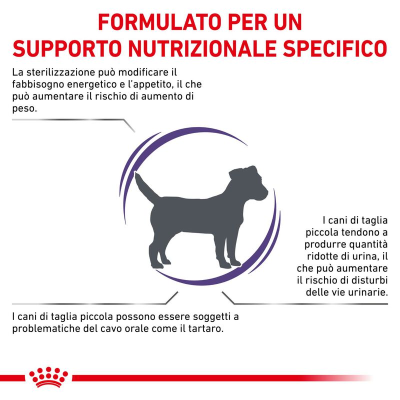 Royal Canin Expert Neutered Adult Small 1,5 kg