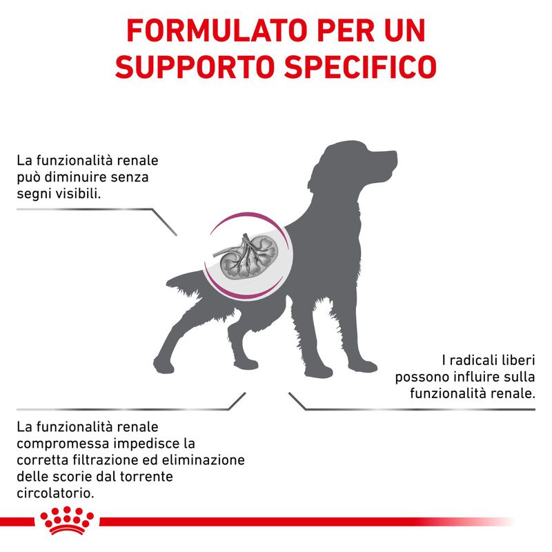 Royal Canin Veterinary Diet Dog Early Renal 2 kg