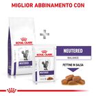 Royal Canine Veterinary Diet Cat Neutered Satiety Balance 3 kg