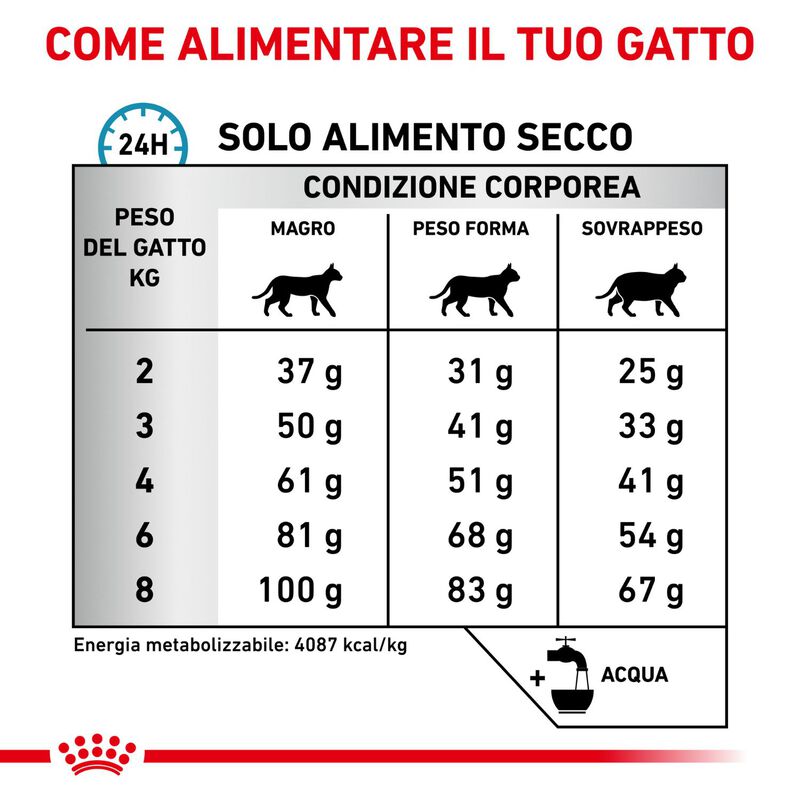 Royal Canin Veterinary Diet Cat Hypoallergenic 2,5 kg