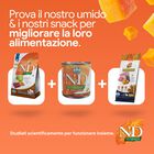 N&D Farmina Pumpkin Dog Adult Mini Cervo & Mela 2 kg