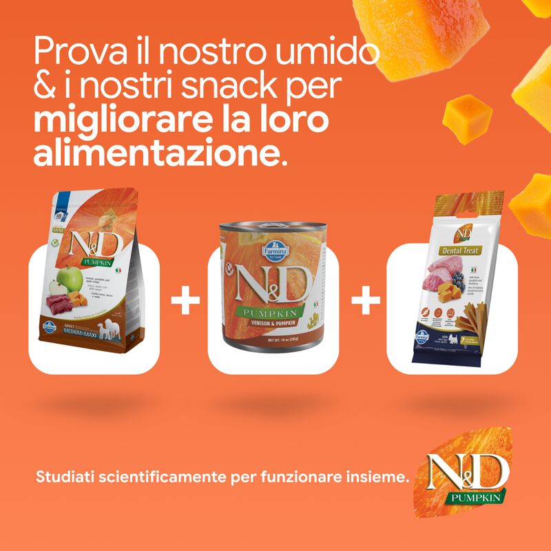 N&D Farmina Pumpkin Dog Adult Mini Cervo & Mela 2 kg
