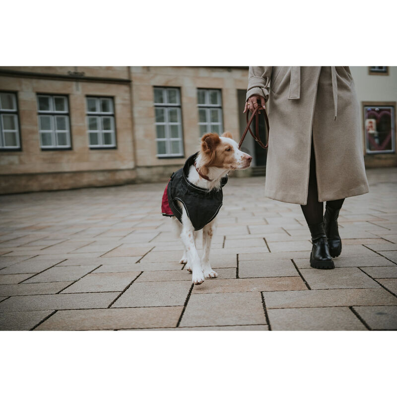 Hunter Impermeabile per cani Uppsala Cozy nero e rosso tg. 45