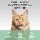 Schesir Cat Jelly Tonnetto con Alghe 70g