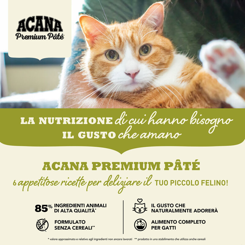 Acana Premium Pat&eacute; Kitten Recipe Pollo e Pesce 85 gr