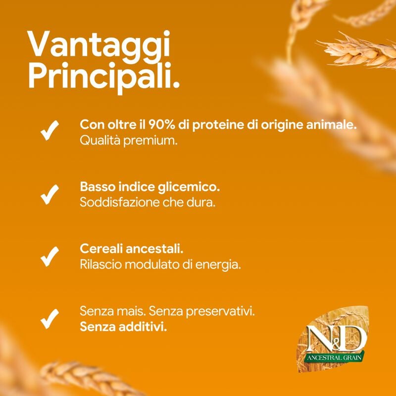 N&D Farmina Ancestral Grain Puppy Medium & Maxi Agnello e Mirtillo 2,5 kg