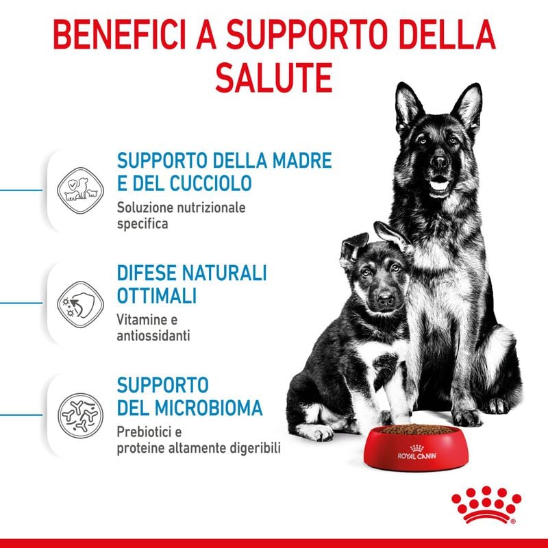 Royal Canin&nbsp;Maxi Starter Mother&Babydog 4 Kg