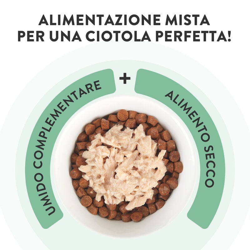 Schesir Cat Tonnetto con Pesce Azzurro in Brodo 70g