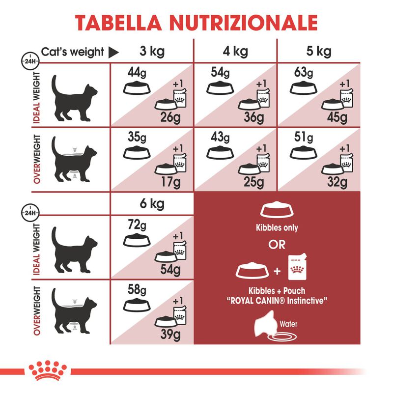 Royal Canin Cat Adult Fit 2 kg
