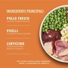 Lily's Kitchen Dog Adult Small Countryside Casserole con Pollo Anatra e Patata Dolce 2,5 kg