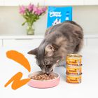Edgard & Cooper Cat Adult Bocconcini in Salsa al Pollo 85 gr