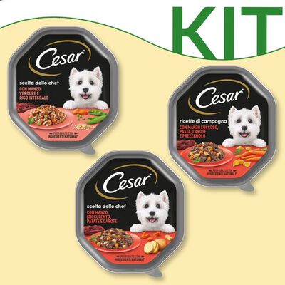 Kit degustazione Cesar Dog adult ricette di campagna 150 gr