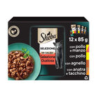 Sheba Cat Selezione Gustosa in Salsa 12 pz x 85 gr