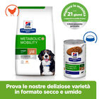 Hill's Prescription Diet Dog Metabolic + Mobility con Pollo 12 kg