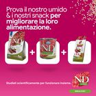 N&D Farmina Quinoa Skin & Coat Dog Mini con Anatra 2,5 kg