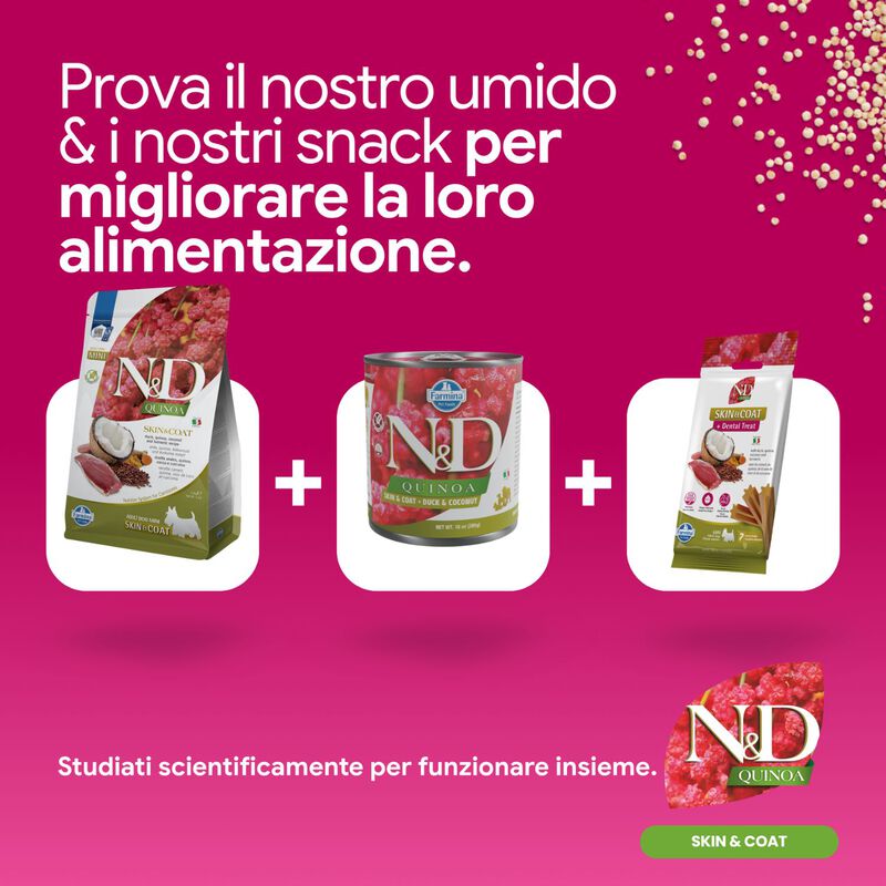 N&D Farmina Quinoa Skin & Coat Dog Mini con Anatra 2,5 kg