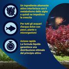 Tetra AlguMin 100 ml