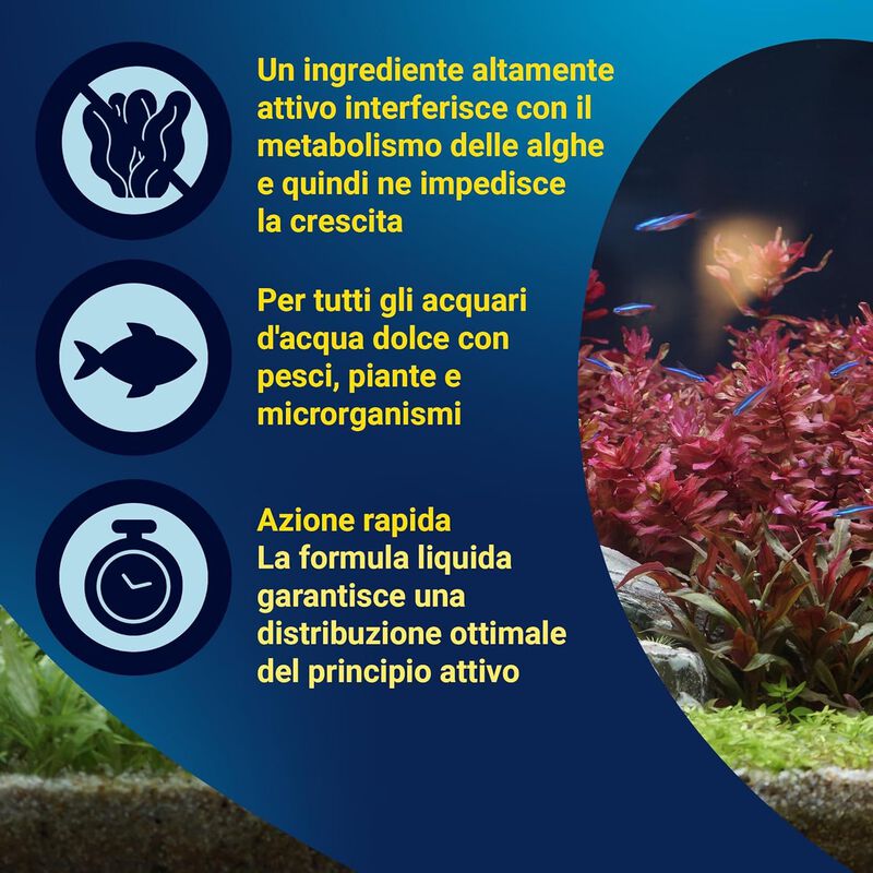 Tetra AlguMin 100 ml