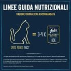 Felix Cat Sfilaccetti Rustici Manzo Pollo Anatra e tacchino 44 pz x 80 gr