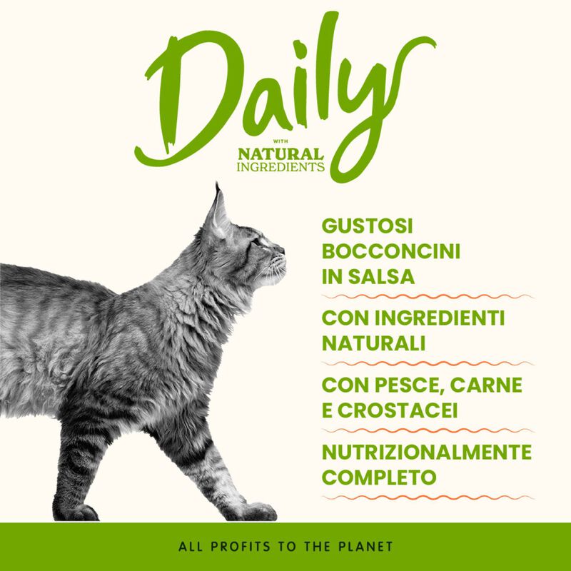 Almo Nature Daily Cat Adult Pollo e Manzo 70gr