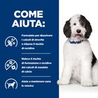 Hill's Prescription Diet Dog c/d Multicare Urinary Care 4 kg