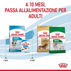 Royal Canin Dog Mini Puppy 2 kg