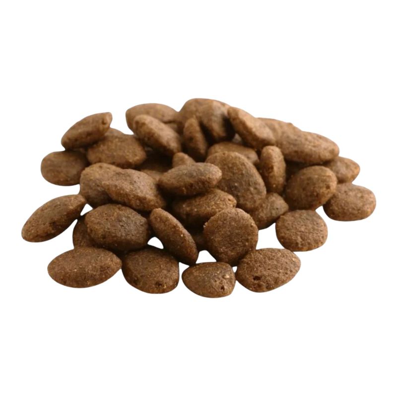 Fish4dogs Finest Dog Adult Large Salmone 12 kg