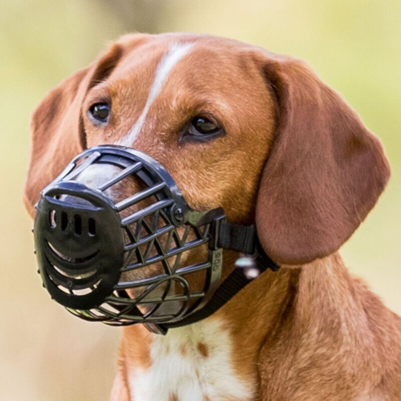 Trixie Museruola per cani in plastica Tg. S-M