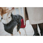 Hunter Impermeabile per cani Uppsala Cozy nero e rosso tg. 40
