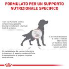Royal Canin Veterinary Diet Dog Hepatic 12 kg