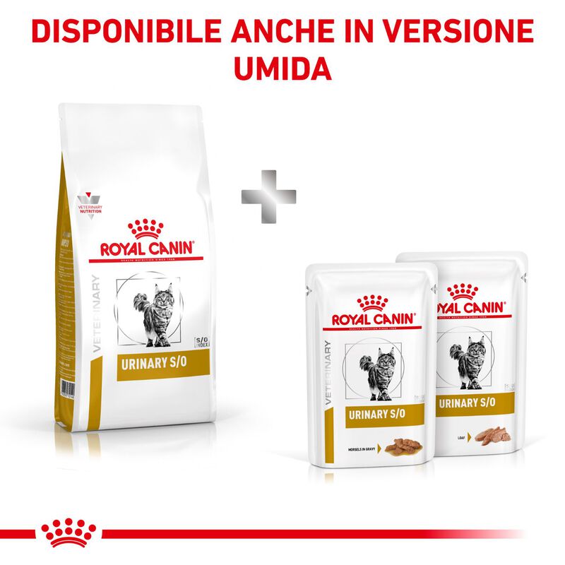 Royal Canin Veterinary Diet Cat Urinary S/O 1,5 kg