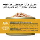 Schesir Cat Adult Tonnetto con pollo jelly 85g