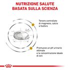 Royal Canin Veterinary Diet Cat Urinary S/O 400 gr