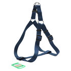Petup Pettorina Flash taglia 4 blu